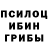 Галлюциногенные грибы GOLDEN TEACHER Sandra Tomkute