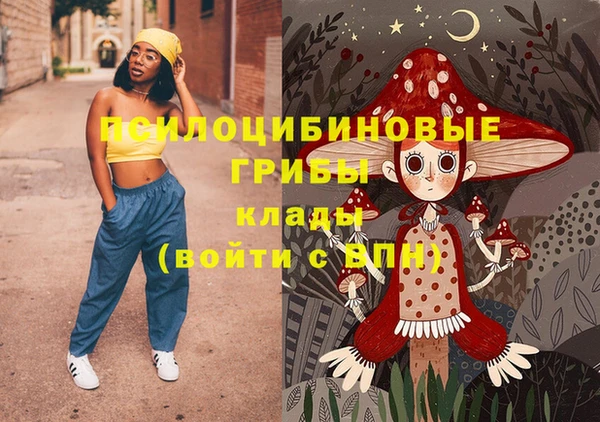 шишки Алексеевка