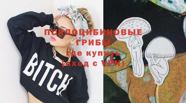 шишки Алексеевка