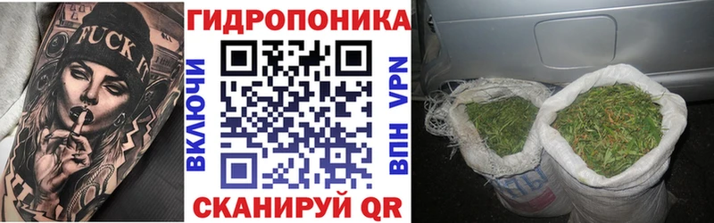 Канабис конопля Плавск